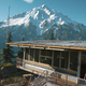 Image for article titled Tips For Playing Days Gone